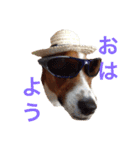 ブン太の毎日（個別スタンプ：1）