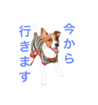 ブン太の毎日（個別スタンプ：6）