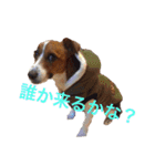 ブン太の毎日（個別スタンプ：7）