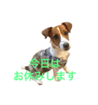 ブン太の毎日（個別スタンプ：9）