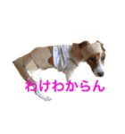 ブン太の毎日（個別スタンプ：18）