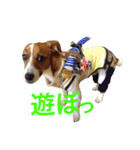 ブン太の毎日（個別スタンプ：21）