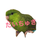 サザナミーズ（個別スタンプ：8）