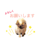 猫 不二子。。。。（個別スタンプ：10）