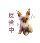 猫 不二子。。。。（個別スタンプ：37）