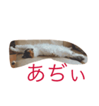 ティアにゃん（個別スタンプ：3）