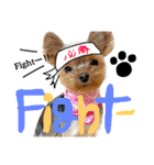 ヨークシャテリア 華ちゃん♡（個別スタンプ：32）