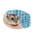 ハムスターが人間ぽく喋りますよ！（個別スタンプ：8）