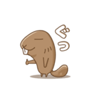 可愛いビーバーさん（個別スタンプ：1）