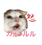 いつものもなか（個別スタンプ：4）