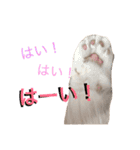 いつものもなか（個別スタンプ：6）