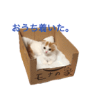 いつものもなか（個別スタンプ：14）