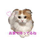 いつものもなか（個別スタンプ：15）