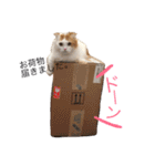 いつものもなか（個別スタンプ：16）