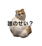 いつものもなか（個別スタンプ：26）