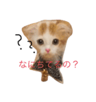 いつものもなか（個別スタンプ：28）