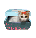 いつものもなか（個別スタンプ：33）