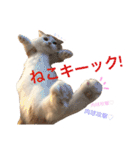 いつものもなか（個別スタンプ：34）