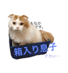 いつものもなか（個別スタンプ：36）