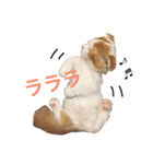 いつものもなか（個別スタンプ：37）