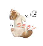 いつものもなか（個別スタンプ：38）