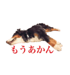 我が家の4保護犬（＋1）の日常（個別スタンプ：8）