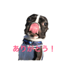 けんたの日常（個別スタンプ：7）
