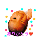 赤ちゃんひなたんの楽しい毎日（個別スタンプ：6）