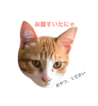 猫のちくわくん（個別スタンプ：7）