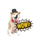 柴犬ヤン君 ハマヤン！（個別スタンプ：15）