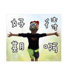 Dragon Bro. Says II（個別スタンプ：34）