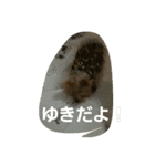 ヨーキのなな 2（個別スタンプ：31）