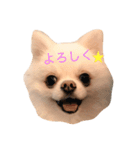 ファーファー＆パンナ☀︎のほほん日和（個別スタンプ：1）
