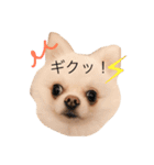 ファーファー＆パンナ☀︎のほほん日和（個別スタンプ：6）