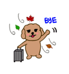 Moachi the poodle（個別スタンプ：3）
