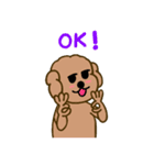 Moachi the poodle（個別スタンプ：5）
