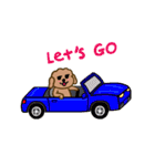 Moachi the poodle（個別スタンプ：9）
