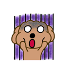 Moachi the poodle（個別スタンプ：11）