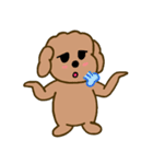 Moachi the poodle（個別スタンプ：12）