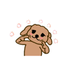 Moachi the poodle（個別スタンプ：14）