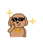 Moachi the poodle（個別スタンプ：16）