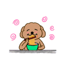 Moachi the poodle（個別スタンプ：19）