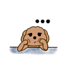 Moachi the poodle（個別スタンプ：21）