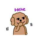 Moachi the poodle（個別スタンプ：23）