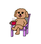 Moachi the poodle（個別スタンプ：32）