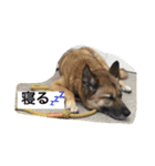 ハナマルちゃん①（個別スタンプ：4）