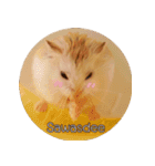 We are hamsters！（個別スタンプ：2）
