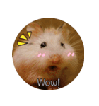 We are hamsters！（個別スタンプ：4）