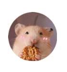 We are hamsters！（個別スタンプ：8）
