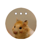 We are hamsters！（個別スタンプ：13）